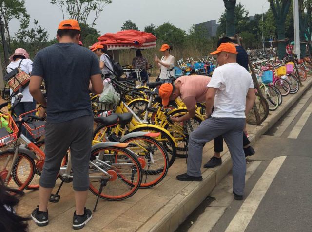 戶外騎行，低碳環(huán)保，享受運(yùn)動(dòng)