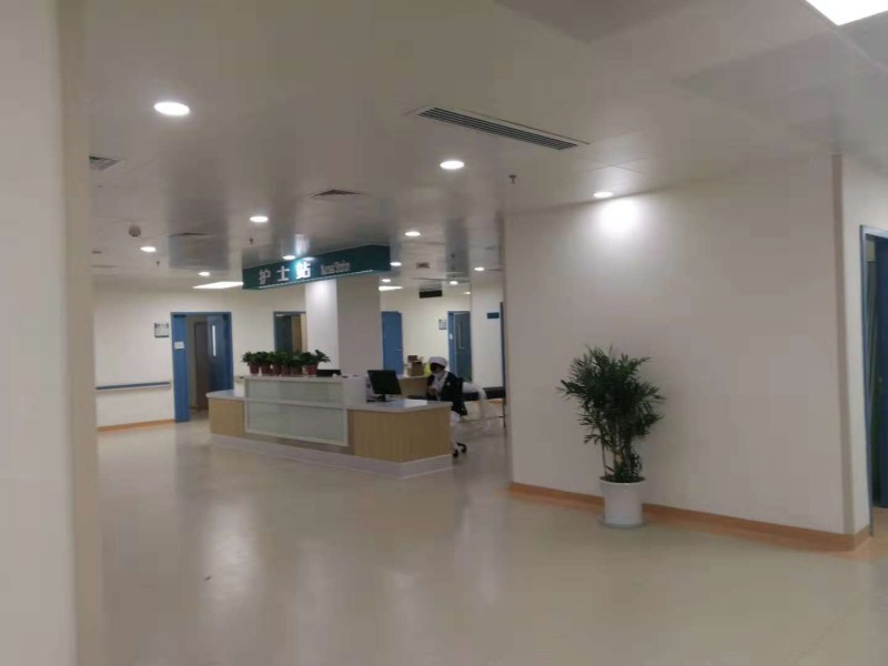 武漢協(xié)和醫(yī)院輕質墻板工程施工案例