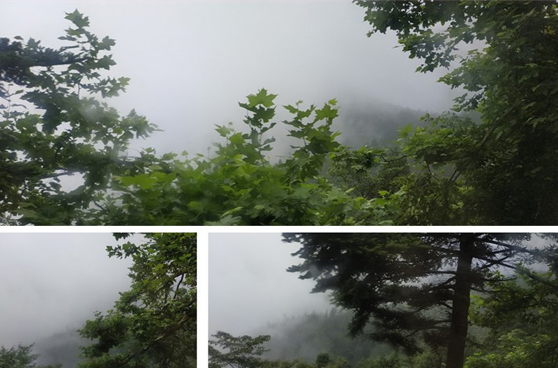 醉美廬山，記博悅佳清涼夏日旅游團(tuán)建之廬山行