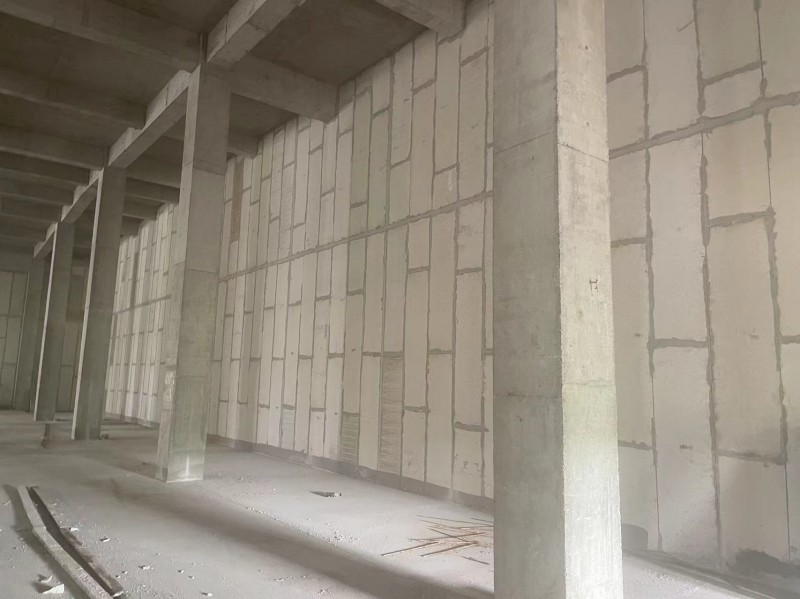 國(guó)藥中生武漢生物所百白破疫苗車間項(xiàng)目